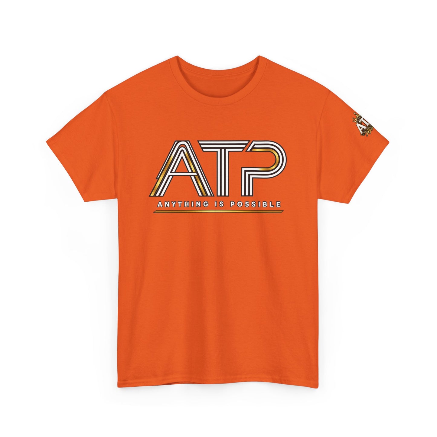 ATP "Anything Is Possible" Retro Logo T‑Shirt